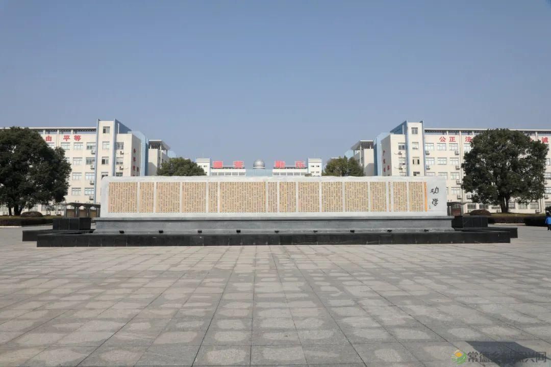 【走进临澧】春风沃土育“群星”25条“人才新政”背后的故事(图27)