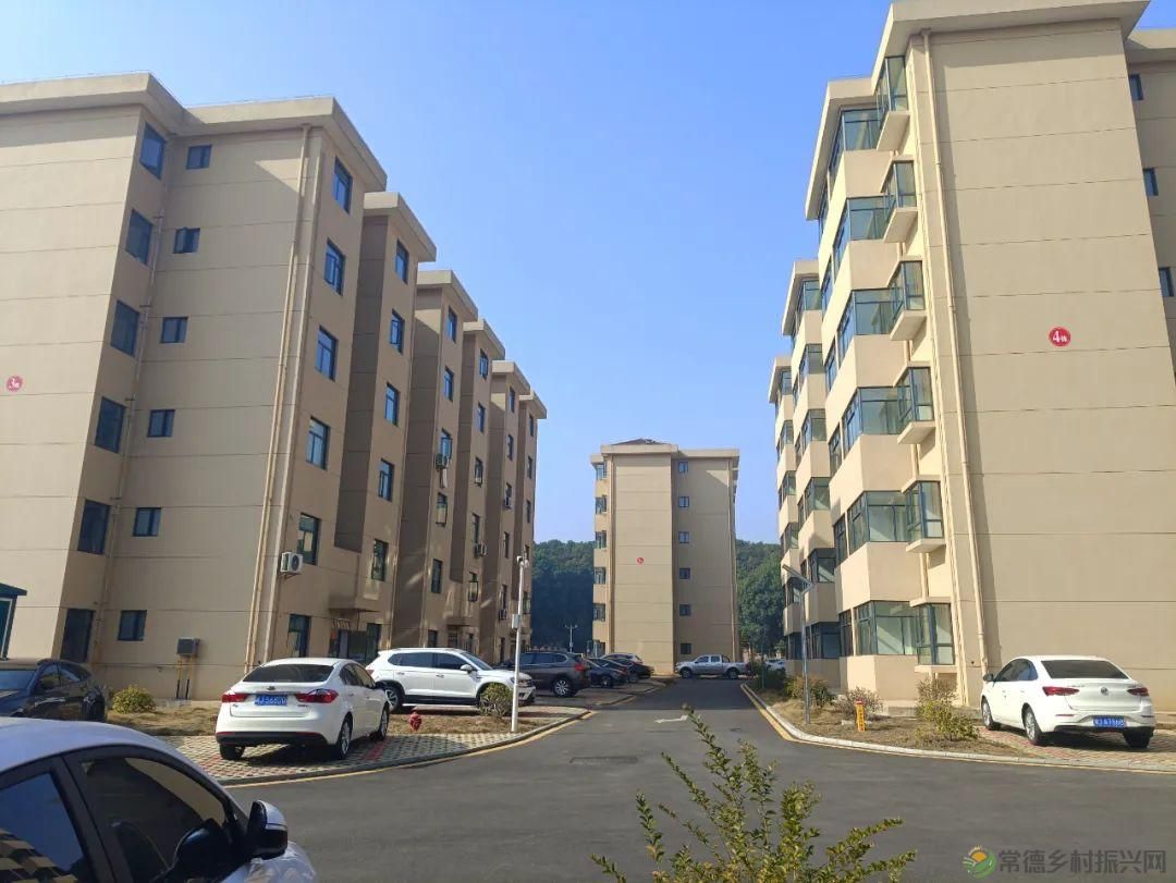 【走进临澧】25条硬核告诉你 千万别到这里来(图18)