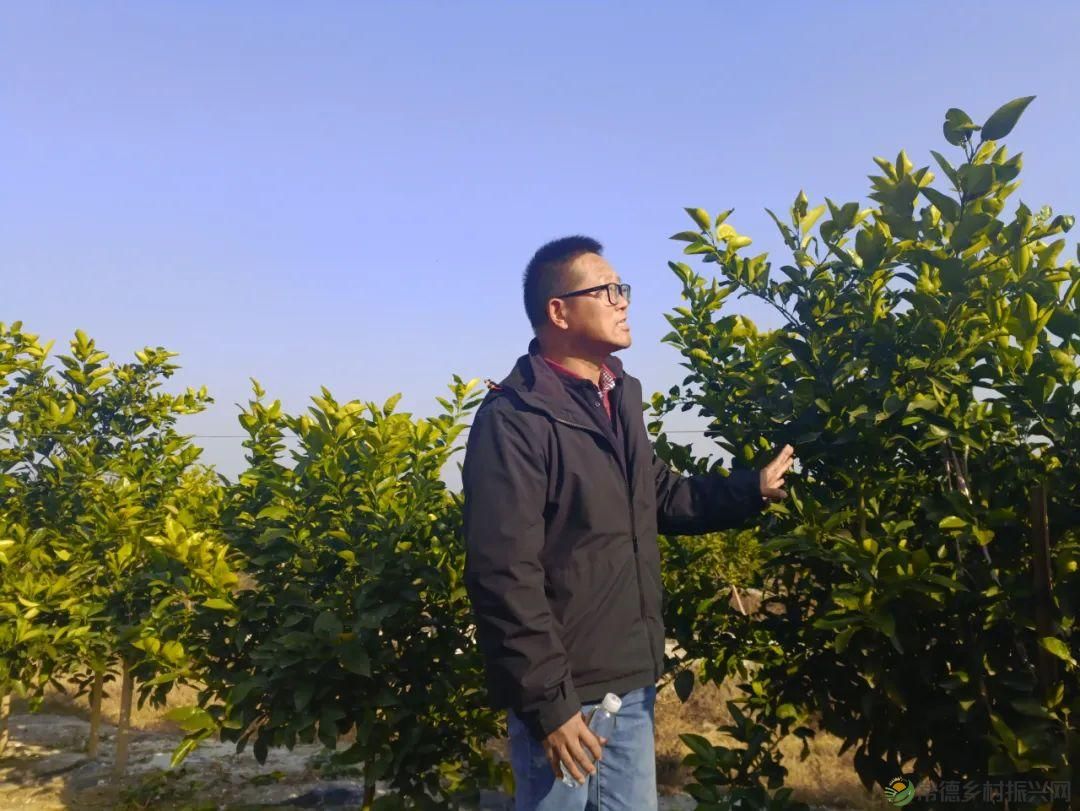 【走进临澧】25条硬核告诉你 千万别到这里来(图37)