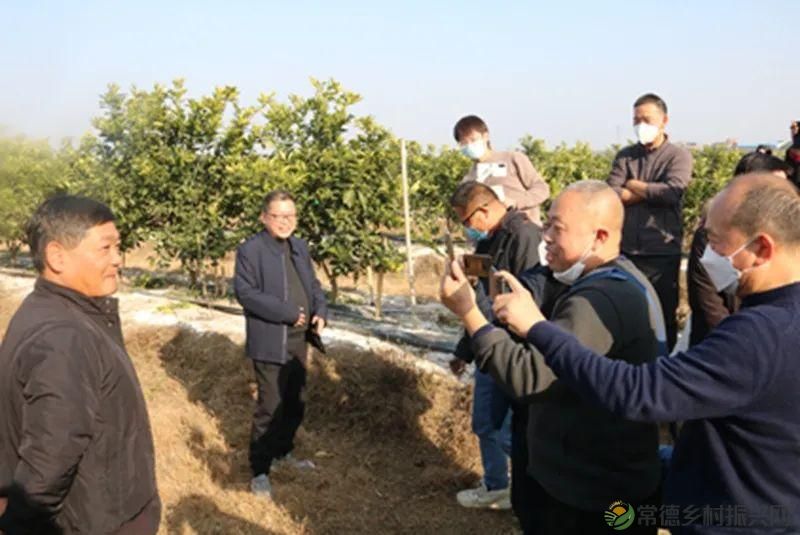 【走进临澧】25条硬核告诉你 千万别到这里来(图39)