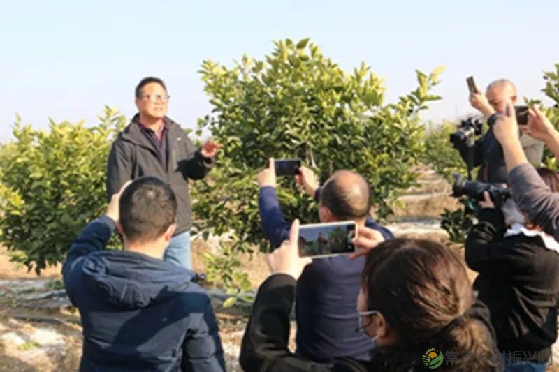 【走进临澧】25条硬核告诉你 千万别到这里来(图40)