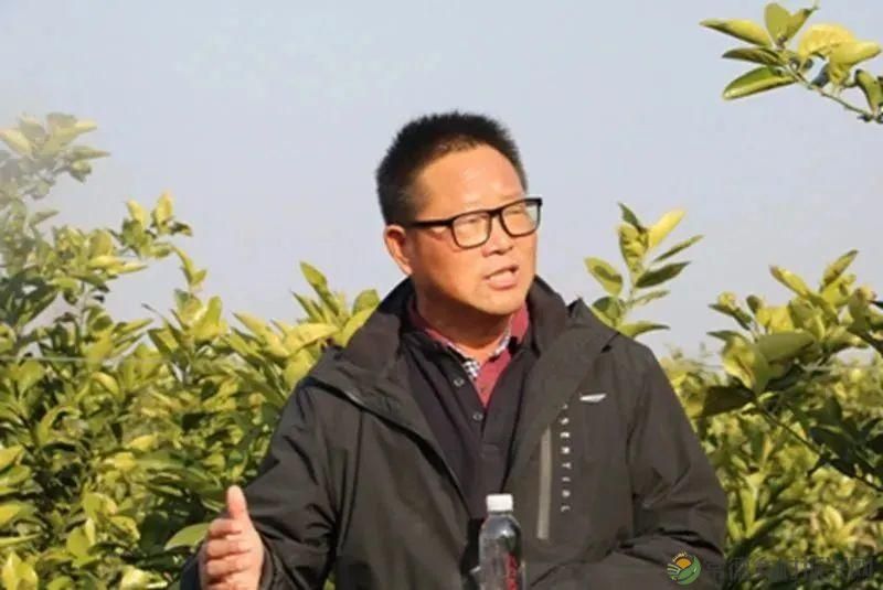 【走进临澧】重磅!请查收这份干货满满的临澧人才新政最强音(图4) 【走进临澧】重磅!请查收这份干货满满的临澧人才新政最强音(图4)