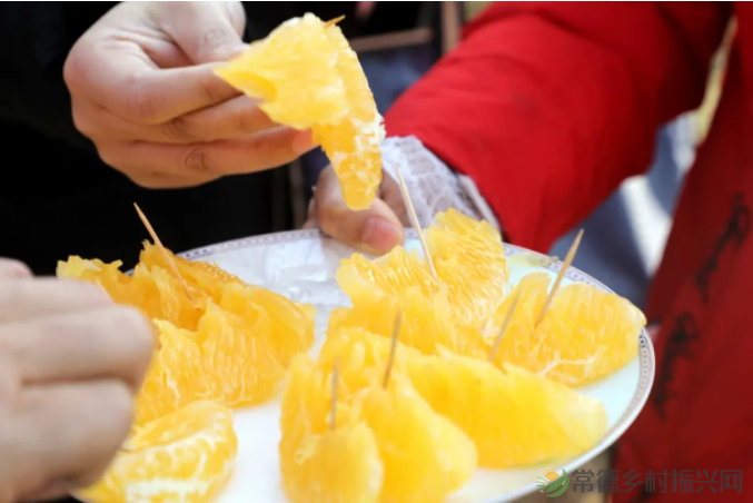 【走进临澧】临澧老乡喊你回家创业,他们的故事很走心(三)(图6) image.png