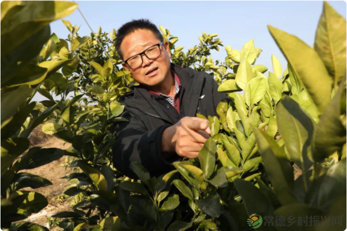 【走进临澧】临澧老乡喊你回家创业,他们的故事很走心(三)(图8) image.png