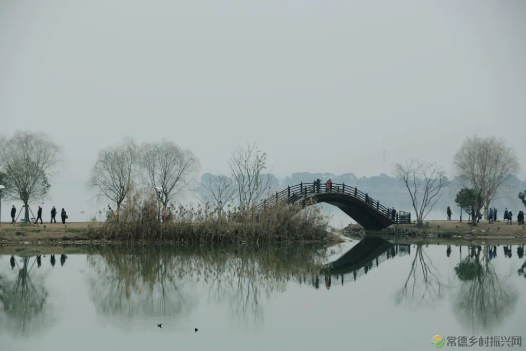 花灯璀璨|柳叶湖欢天喜地闹元宵(图9) 微信图片_20230207204011.jpg