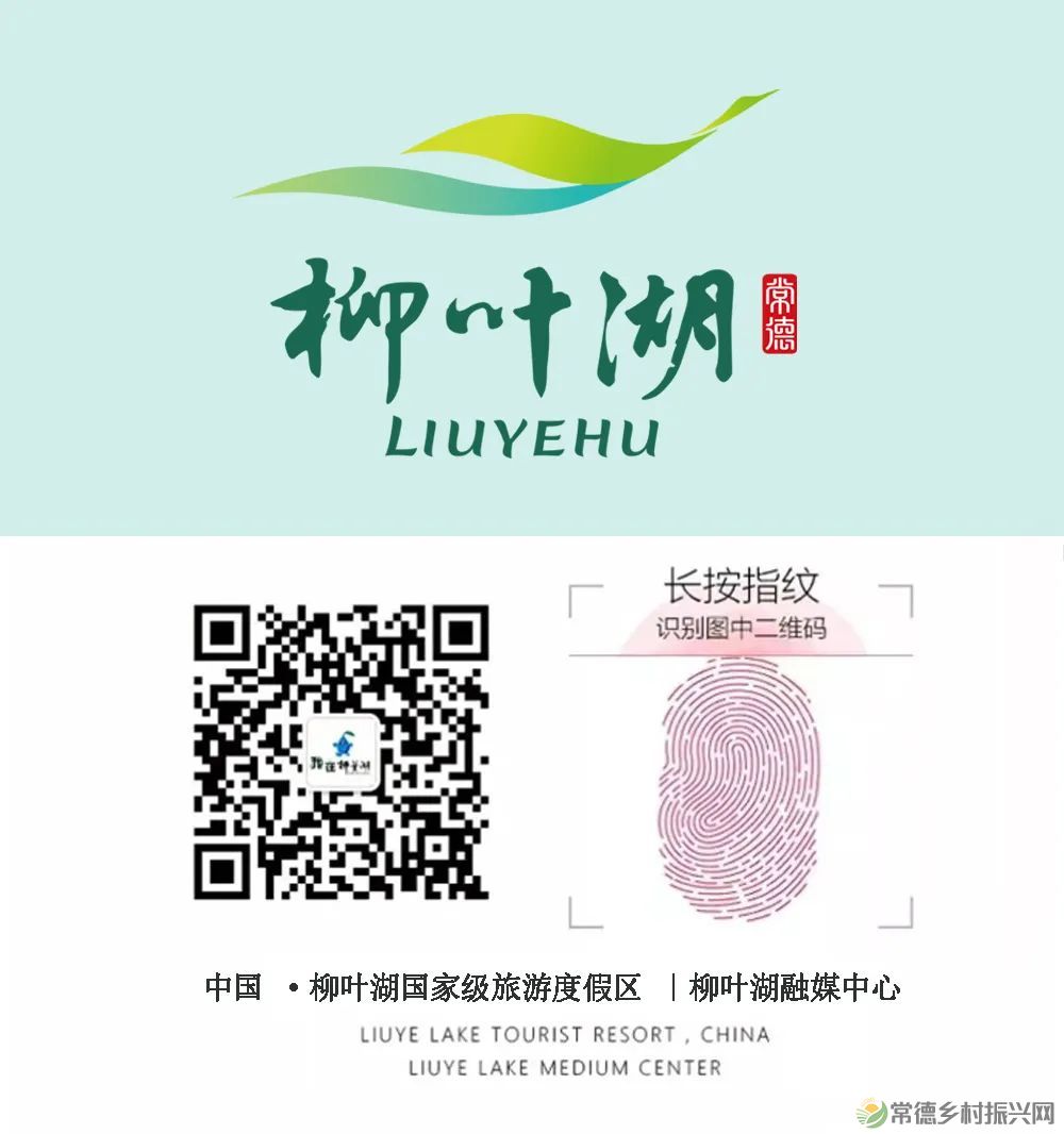 花灯璀璨|柳叶湖欢天喜地闹元宵(图23) 微信图片_20230207204420.jpg