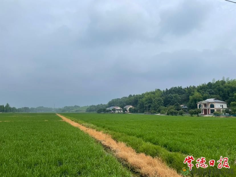 为当代乡村立此存照 ——新闻调查作品集《草坪纪事》创作谈(图4) 微信图片_20230207205954.jpg