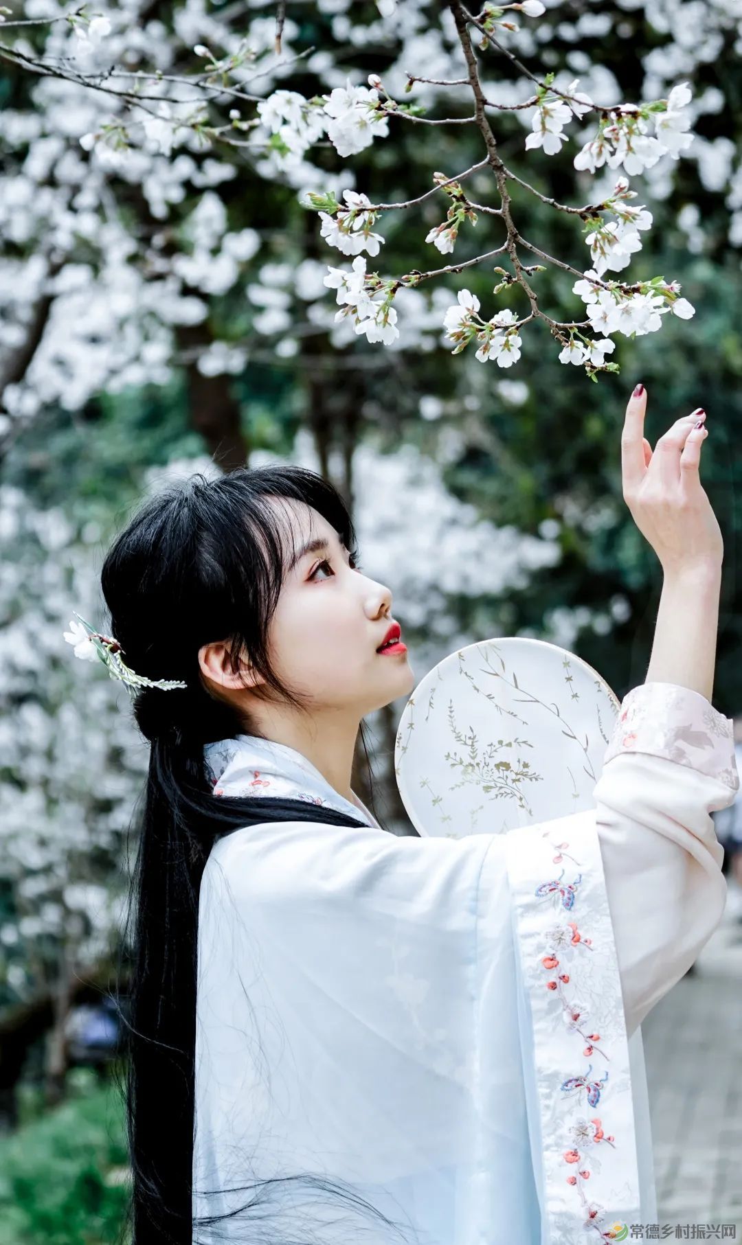 【周边游】确认过眼神,“樱花仙子”邀请您一站式游遍家乡醉美樱花打卡地(图5) 微信图片_20230209210658.jpg