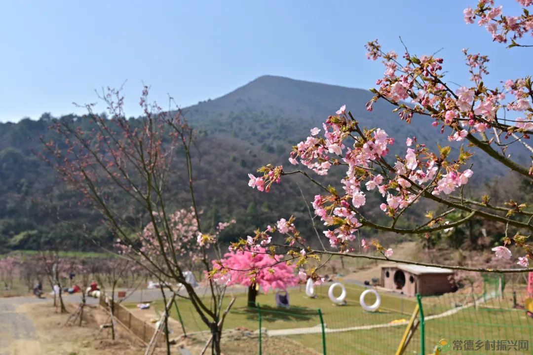 【周边游】确认过眼神,“樱花仙子”邀请您一站式游遍家乡醉美樱花打卡地(图6) 微信图片_20230209210636.jpg