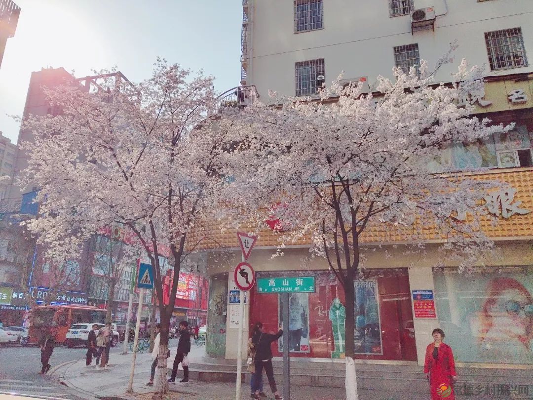 【周边游】确认过眼神,“樱花仙子”邀请您一站式游遍家乡醉美樱花打卡地(图19) 微信图片_20230209211028.jpg