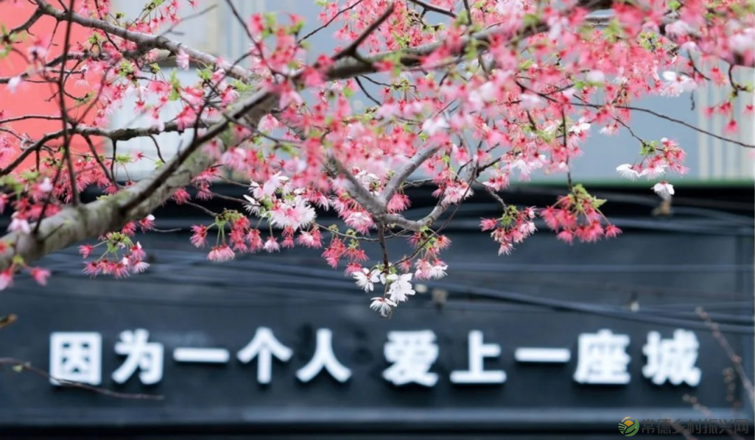 【周边游】确认过眼神,“樱花仙子”邀请您一站式游遍家乡醉美樱花打卡地(图21) 微信图片_20230209211153.png