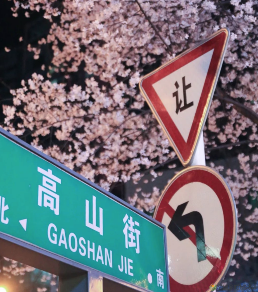 【周边游】确认过眼神,“樱花仙子”邀请您一站式游遍家乡醉美樱花打卡地(图25) 微信图片_20230209211319啊啊啊.png