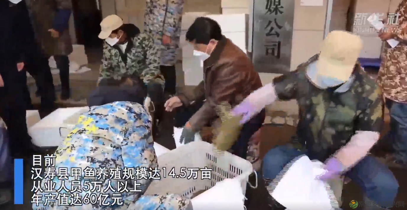 新华社推介│常德今年首批出口甲鱼发往越南