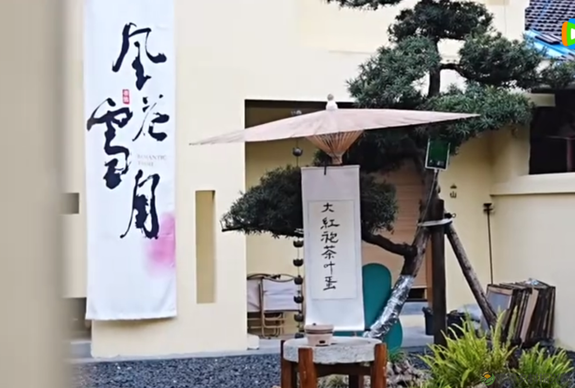 【安子的茶】之菩然茶食。茶汤碧空如洗，茶食款款登场，禅心悟道，翰墨即香，把茶问盏