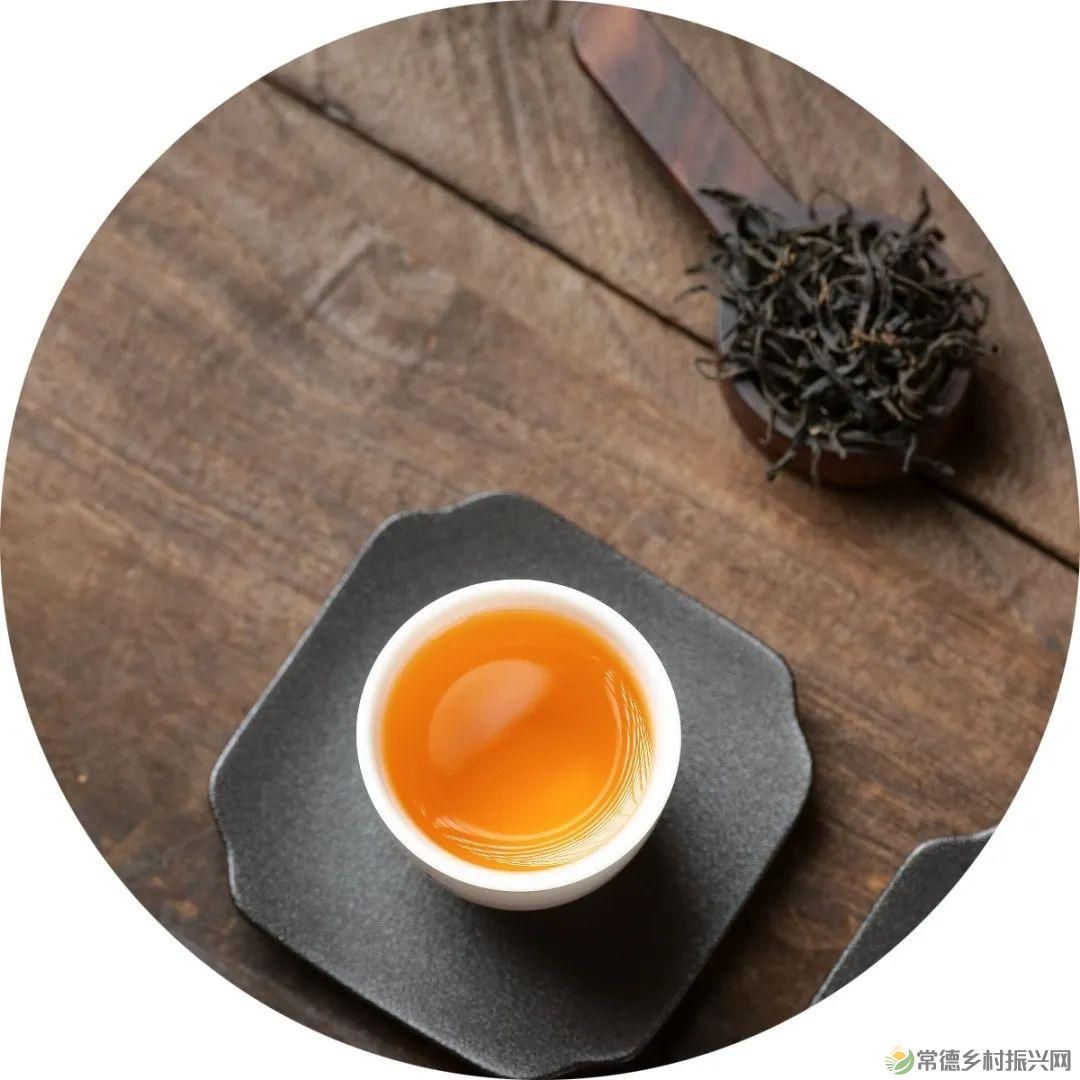 【寻美常德 · 茶】浮山野茗·一盏暖茶待君饮(图4)