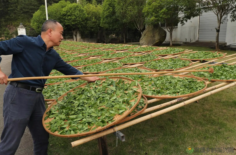 【寻美常德 · 茶】浮山野茗·一盏暖茶待君饮(图15)