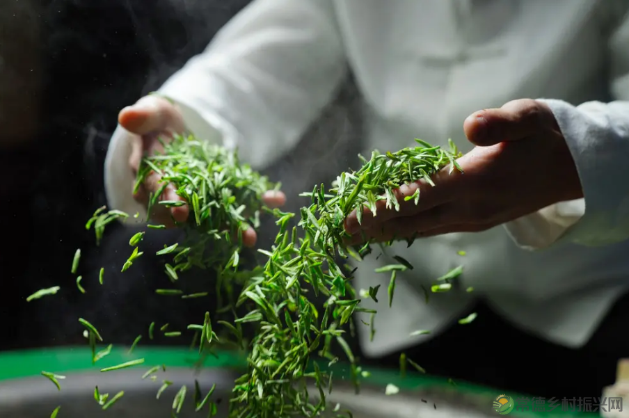 【寻美常德 · 茶】浮山野茗·一盏暖茶待君饮(图16)