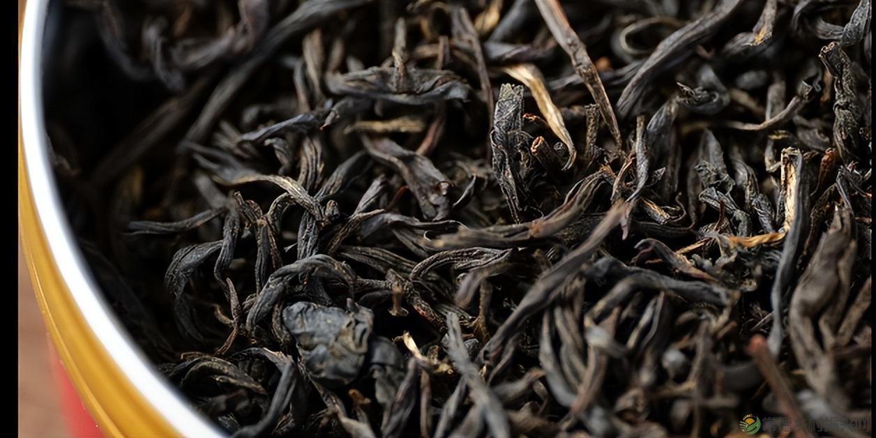 【寻美常德 · 茶】浮山野茗·一盏暖茶待君饮(图22)