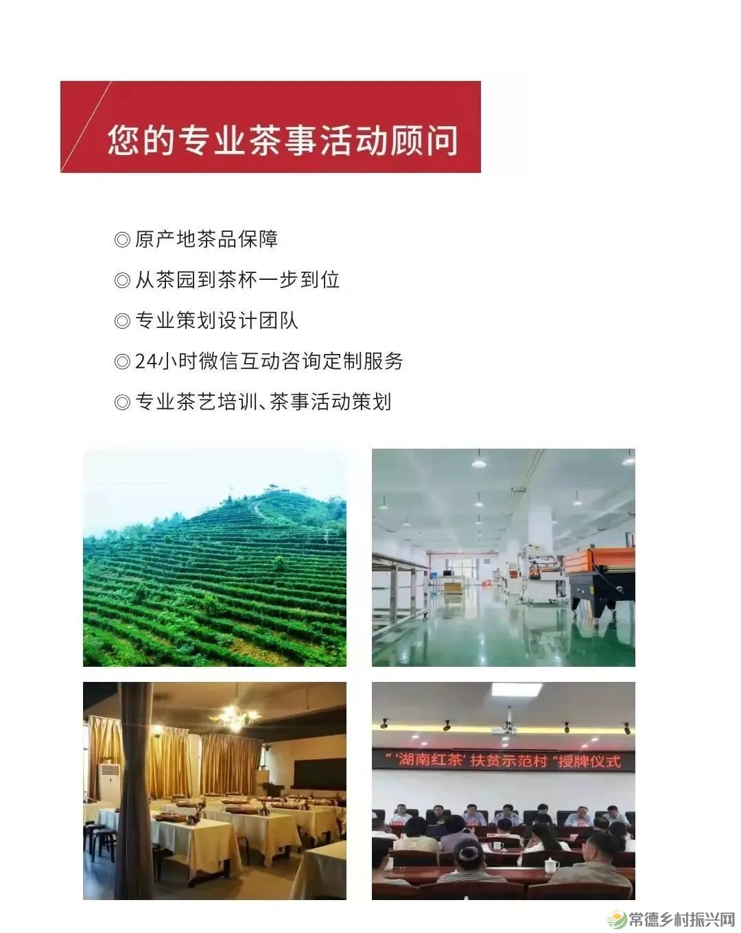 【寻美常德 · 茶】浮山野茗·一盏暖茶待君饮(图33)