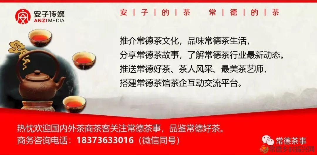 【寻美常德 · 茶】浮山野茗·一盏暖茶待君饮(图41)