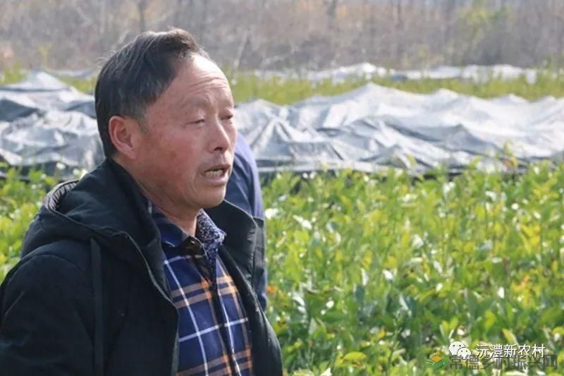 【沅澧新农人】雷松元:“小种苗”育出多彩“幸福果”(图1) 【沅澧新农人】雷松元:“小种苗”育出多彩“幸福果”(图1)