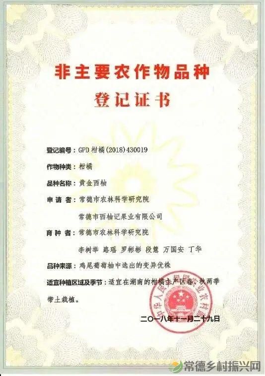 【沅澧新农人】雷松元:“小种苗”育出多彩“幸福果”(图20) 【沅澧新农人】雷松元:“小种苗”育出多彩“幸福果”(图20)