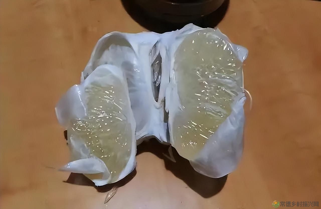 【沅澧新农人】雷松元:“小种苗”育出多彩“幸福果”(图25) 【沅澧新农人】雷松元:“小种苗”育出多彩“幸福果”(图25)