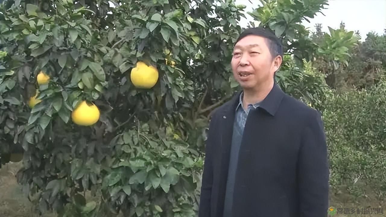 【沅澧新农人】雷松元:“小种苗”育出多彩“幸福果”(图28) 【沅澧新农人】雷松元:“小种苗”育出多彩“幸福果”(图28)