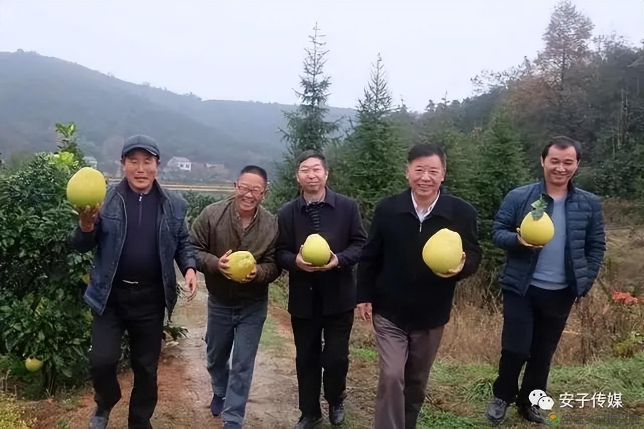 【沅澧新农人】雷松元:“小种苗”育出多彩“幸福果”(图29) 【沅澧新农人】雷松元:“小种苗”育出多彩“幸福果”(图29)