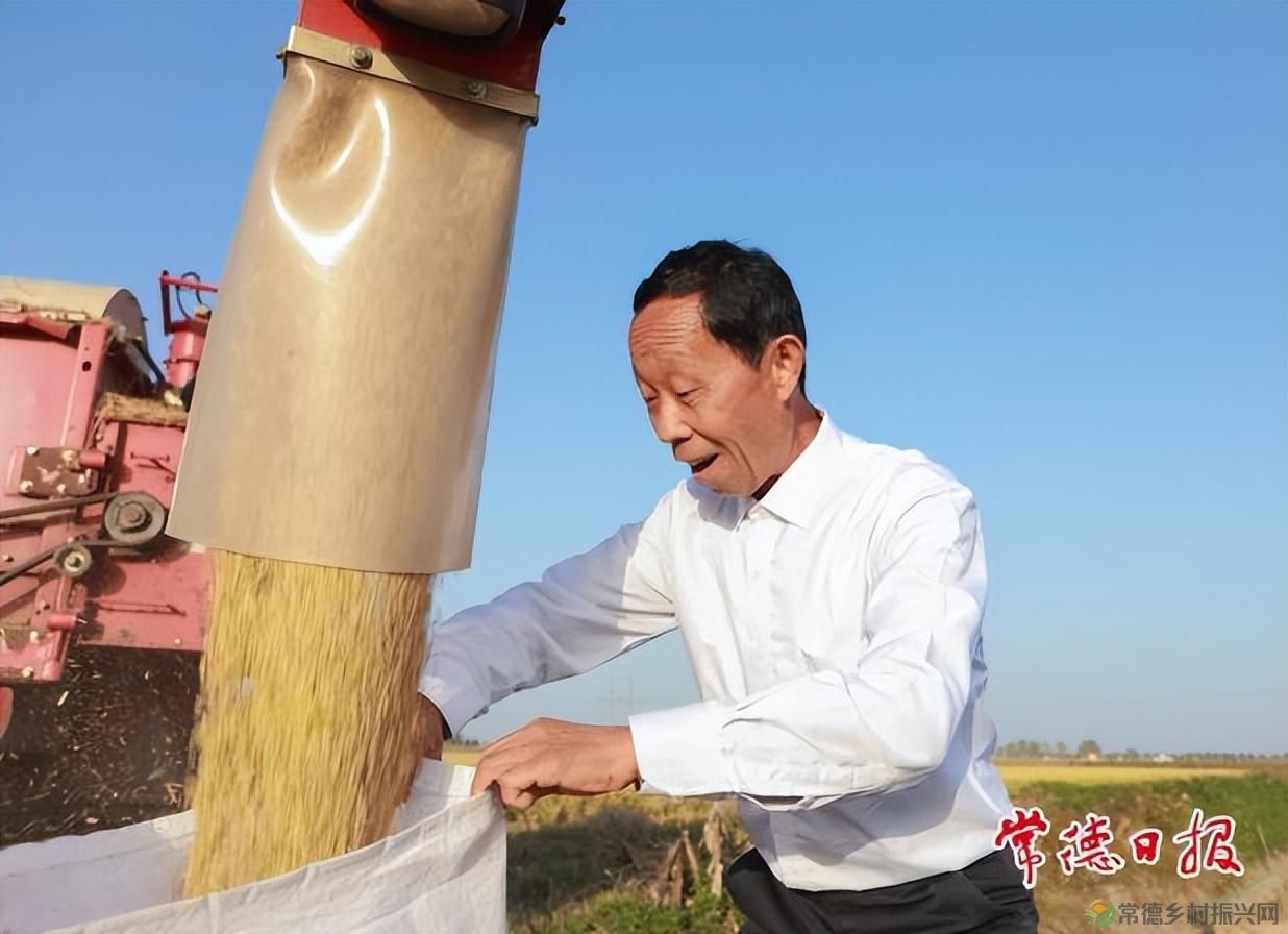 常德: 推进乡村振兴 建设农业强市 ——中央一号文件引起热烈反响(图2) 常德: 推进乡村振兴 建设农业强市 ——中央一号文件引起热烈反响(图2)