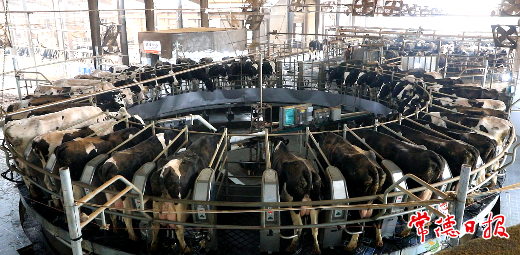 常德: 推进乡村振兴 建设农业强市 ——中央一号文件引起热烈反响(图3) 常德: 推进乡村振兴 建设农业强市 ——中央一号文件引起热烈反响(图3)