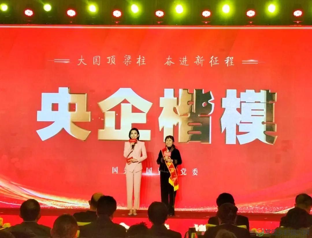 【走进临澧】她是临澧人的骄傲，荣获“央企楷模”称号！(图3)