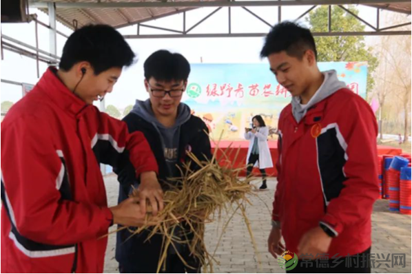 接地气!扎稻草人、捕鱼、种菜、犁地……常德这所学校学生变身“小农夫”(图8) image.png