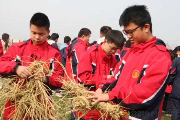 接地气!扎稻草人、捕鱼、种菜、犁地……常德这所学校学生变身“小农夫”(图9) image.png
