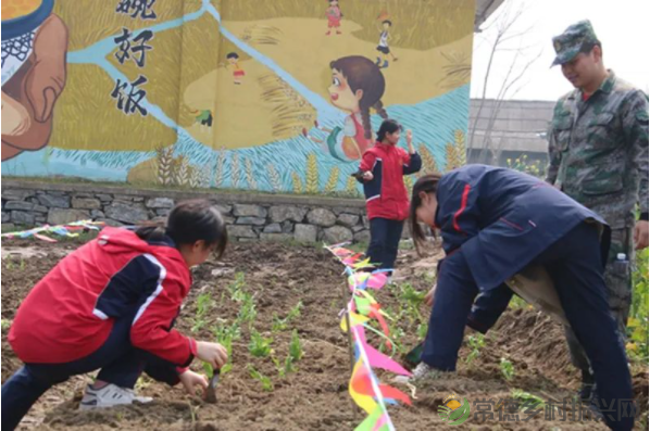 接地气!扎稻草人、捕鱼、种菜、犁地……常德这所学校学生变身“小农夫”(图28) image.png