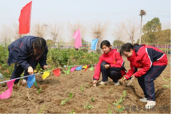 接地气!扎稻草人、捕鱼、种菜、犁地……常德这所学校学生变身“小农夫”(图29) image.png