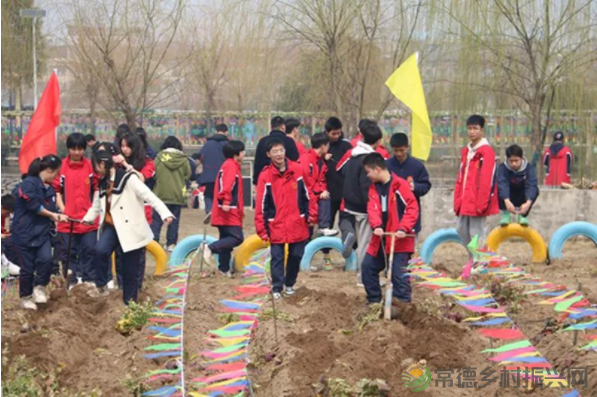 接地气!扎稻草人、捕鱼、种菜、犁地……常德这所学校学生变身“小农夫”(图22) image.png