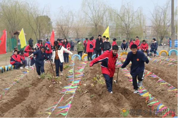 接地气!扎稻草人、捕鱼、种菜、犁地……常德这所学校学生变身“小农夫”(图23) image.png