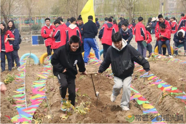接地气!扎稻草人、捕鱼、种菜、犁地……常德这所学校学生变身“小农夫”(图25) image.png