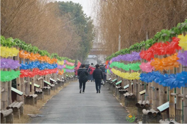 接地气!扎稻草人、捕鱼、种菜、犁地……常德这所学校学生变身“小农夫”(图37) image.png