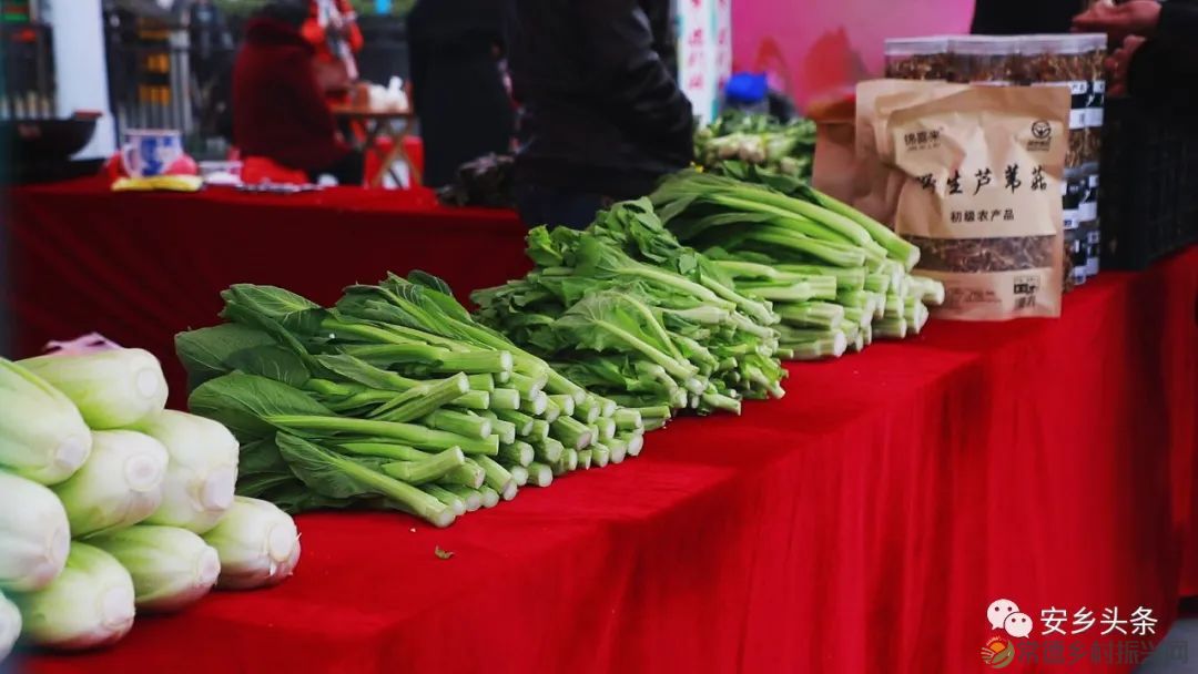 安乡首届“梅好时节 乡遇玖源”梅花节盛大开幕,没去的看这里!(图9) 微信图片_20230303231457.jpg