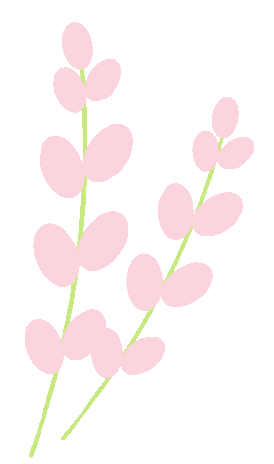 安乡首届“梅好时节 乡遇玖源”梅花节盛大开幕，没去的看这里！