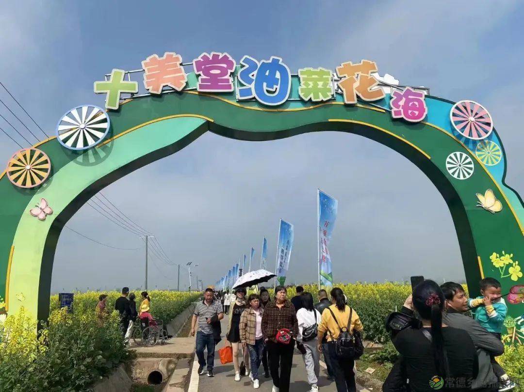 2023鼎城·十美堂油菜花节开幕
