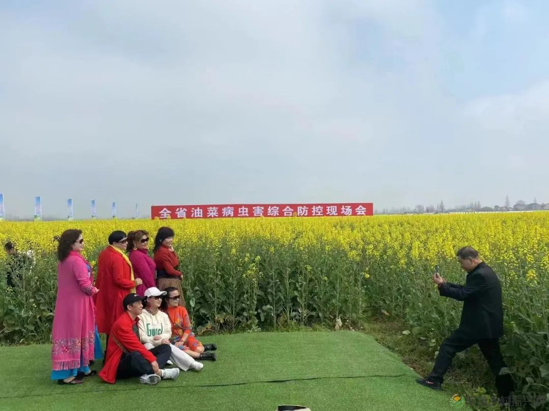 2023鼎城·十美堂油菜花节开幕(图3) 微信图片_20230316231101.jpg