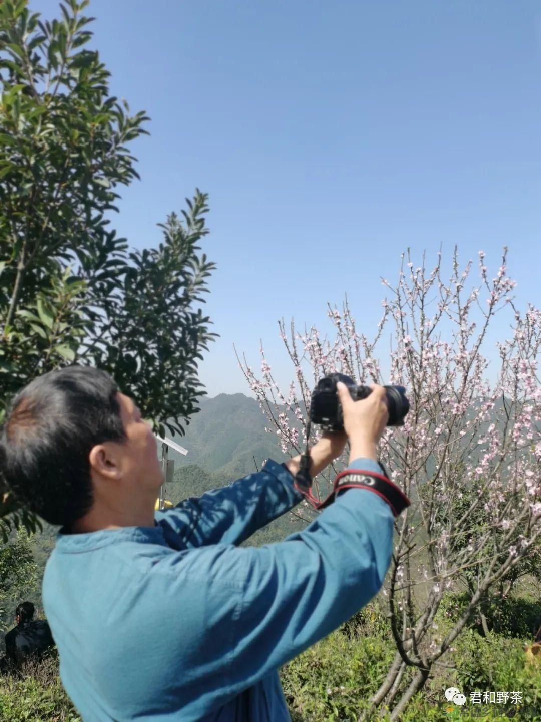 桃源山水一壶茶,里宝山上约起来(图5) 桃源山水一壶茶,里宝山上约起来(图5)