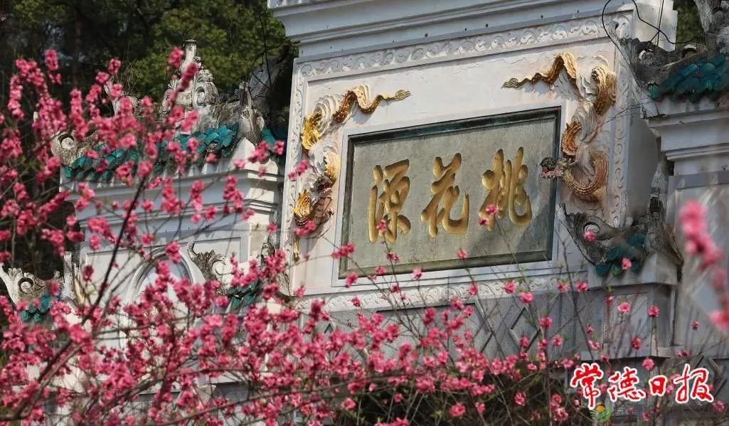 常德桃花源景区第三届国际花朝节明日启幕