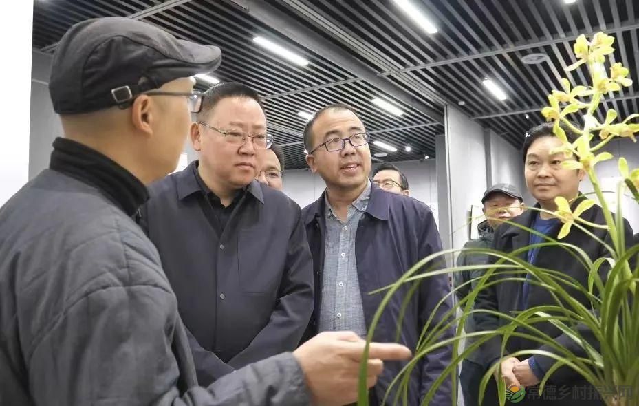 石门茶文化书法作品展暨第九届“石兰赋”奇石兰花精品展开展(图3) 石门茶文化书法作品展暨第九届“石兰赋”奇石兰花精品展开展(图3)