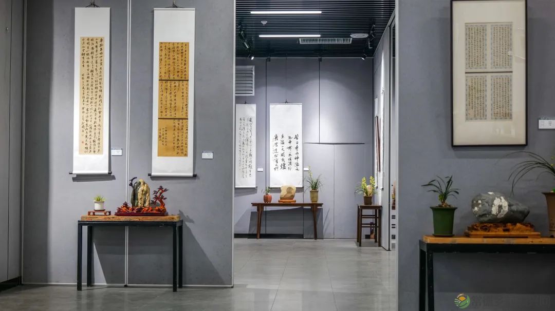 石门茶文化书法作品展暨第九届“石兰赋”奇石兰花精品展开展(图10) 石门茶文化书法作品展暨第九届“石兰赋”奇石兰花精品展开展(图10)