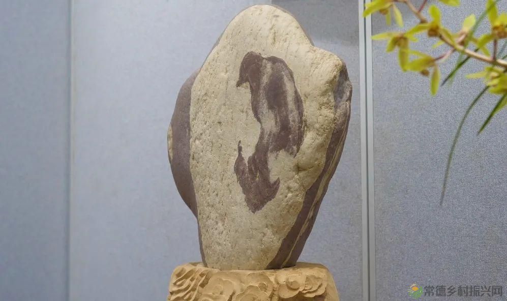 石门茶文化书法作品展暨第九届“石兰赋”奇石兰花精品展开展(图9) 石门茶文化书法作品展暨第九届“石兰赋”奇石兰花精品展开展(图9)