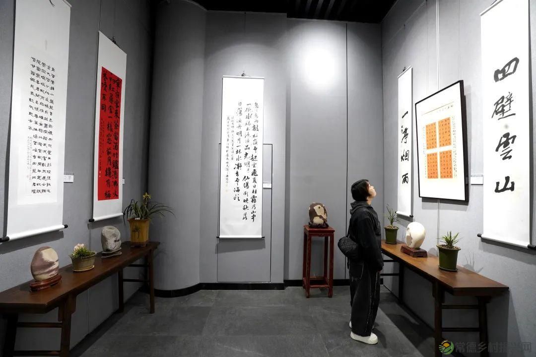 石门茶文化书法作品展暨第九届“石兰赋”奇石兰花精品展开展(图12) 石门茶文化书法作品展暨第九届“石兰赋”奇石兰花精品展开展(图12)